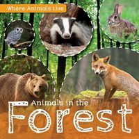 Cover image for Animals in the Forest