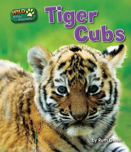 Cover image for Tiger Cubs