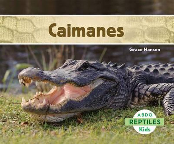 Cover image for Caimanes