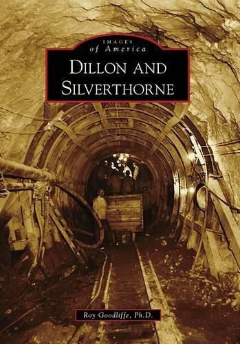 Cover image for Dillon and Silverthorne