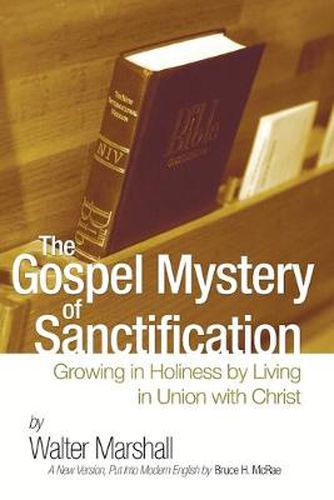 Cover image for The Gospel Mystery of Sanctification: Growing in Holiness by Living in Union with Christ