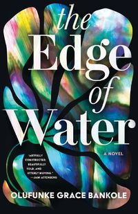 Cover image for The Edge of Water