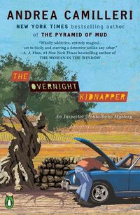 Cover image for The Overnight Kidnapper