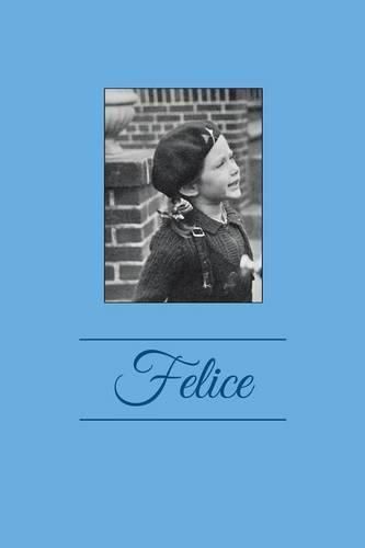 Cover image for Felice