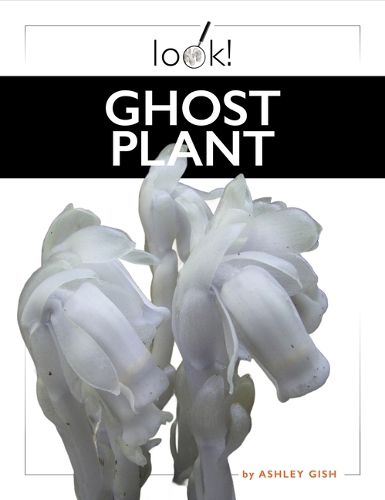 Cover image for Ghost Plant