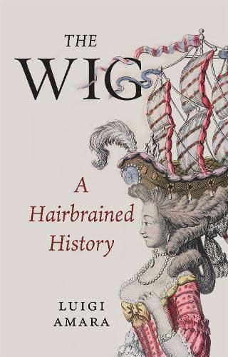 Cover image for The Wig: A Harebrained History