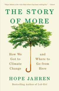 Cover image for Story of More