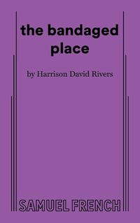 Cover image for the bandaged place