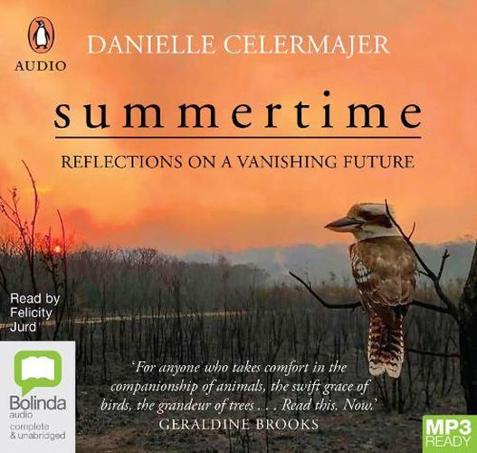 Summertime: Reflections On a Vanishing Future