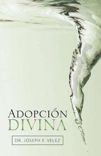 Cover image for Adopcion Divina