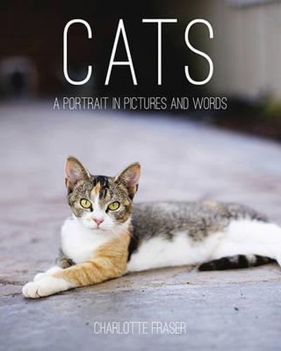 Cover image for Cats: A Portrait in Pictures and Words