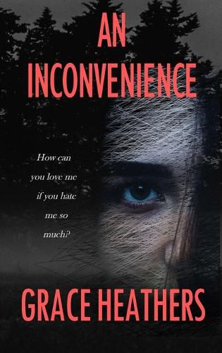 Cover image for An Inconvenience