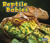 Cover image for Reptile Babies (Animal Babies)