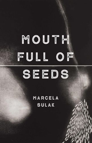 Cover image for Mouth Full of Seeds