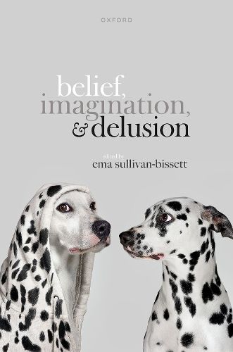 Cover image for Belief, Imagination, and Delusion