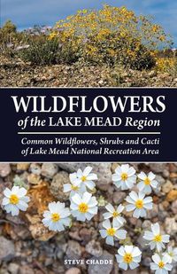 Cover image for Wildflowers of the Lake Mead Region