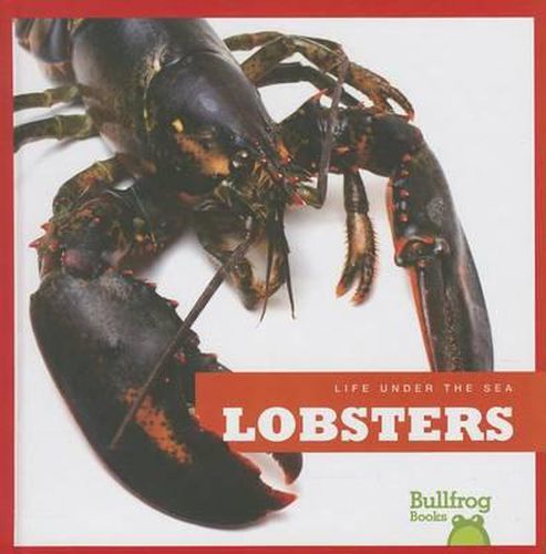 Cover image for Lobsters