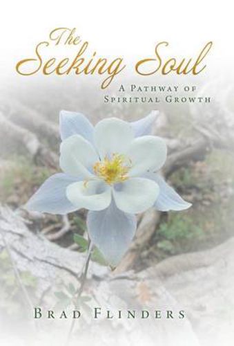 Cover image for The Seeking Soul: A Pathway of Spiritual Growth