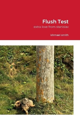 Cover image for Flush Test