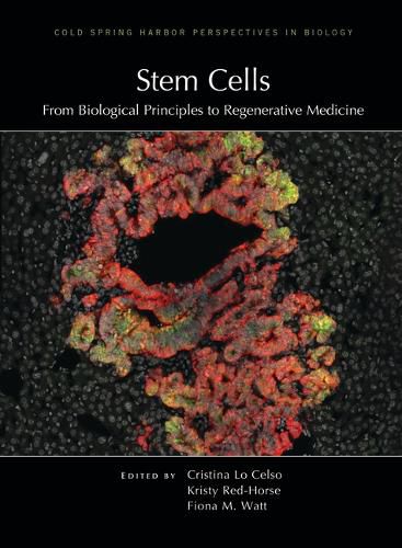 Cover image for Stem Cells: From Biological Principles to Regenerative Medicine