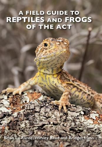 Cover image for A Field Guide to Reptiles and Frogs of the ACT