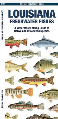 Cover image for Louisiana Freshwater Fishes