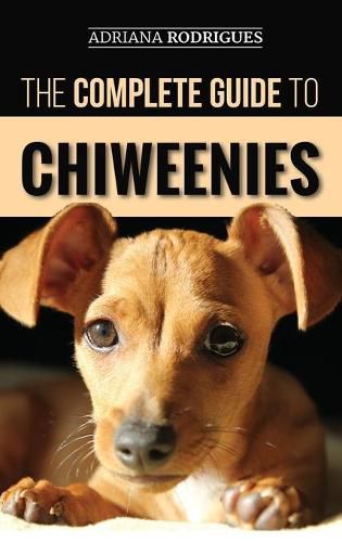 Cover image for The Complete Guide to Chiweenies: Finding, Training, Caring for and Loving your Chihuahua Dachshund Mix