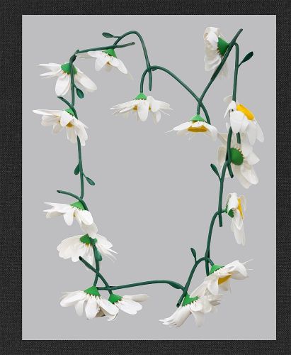 Cover image for Kathleen Ryan: Daisy Chain