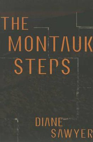 Cover image for The Montauk Steps