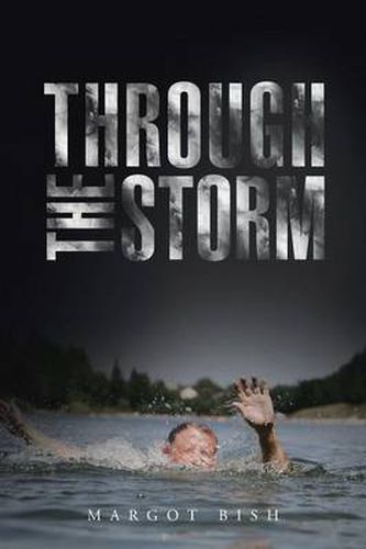 Cover image for Through the Storm