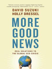 Cover image for More Good News: Real Solutions to the Global Eco-Crisis