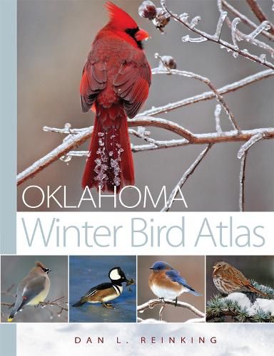 Cover image for Oklahoma Winter Bird Atlas