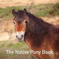 Cover image for The Native Pony Book