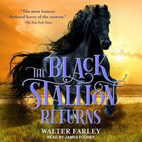 Cover image for The Black Stallion Returns