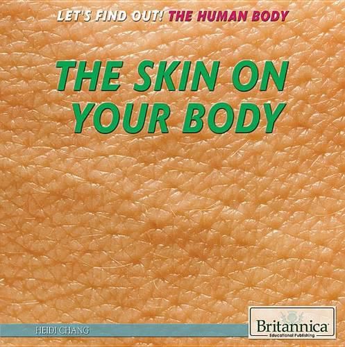 The Skin on Your Body