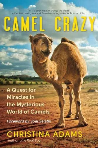 Cover image for Camel Crazy: A Quest for Healing in the Secret World of Camels