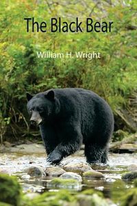 Cover image for The Black Bear