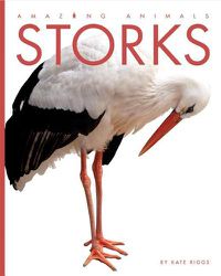 Cover image for Amazing Animals: Storks