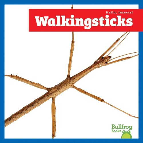 Cover image for Walkingsticks