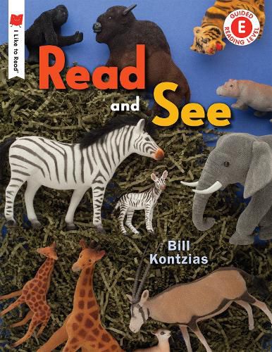 Cover image for Read and See