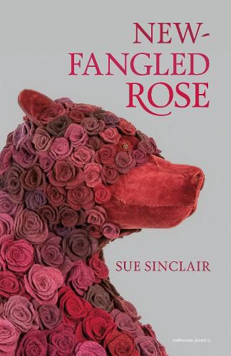Cover image for New-Fangled Rose