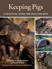 Cover image for Keeping Pigs