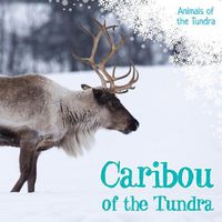 Cover image for Caribou of the Tundra