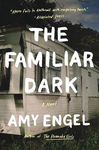 Cover image for The Familiar Dark: A Novel