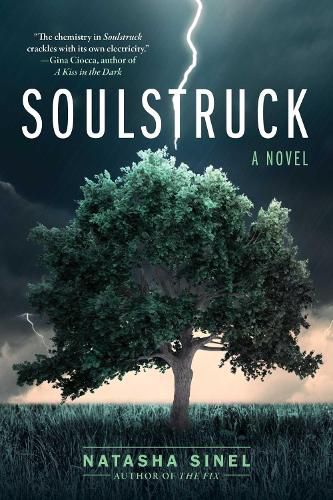 Cover image for Soulstruck: A Novel