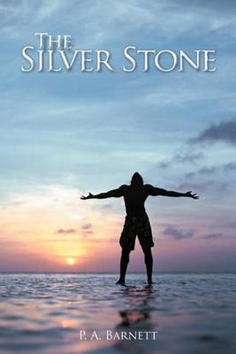 Cover image for The Silver Stone