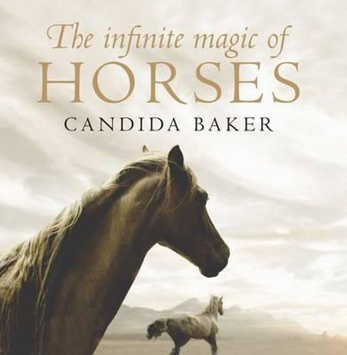 Cover image for The Infinite Magic of Horses