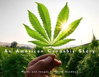 Cover image for An American Cannabis Story