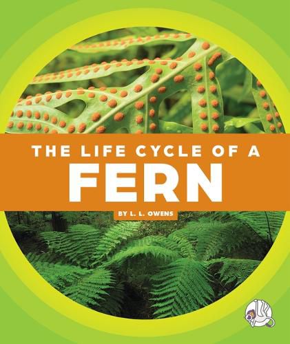 Cover image for The Life Cycle of a Fern