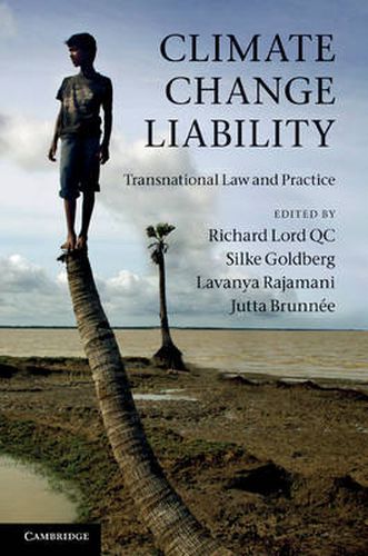 Cover image for Climate Change Liability: Transnational Law and Practice